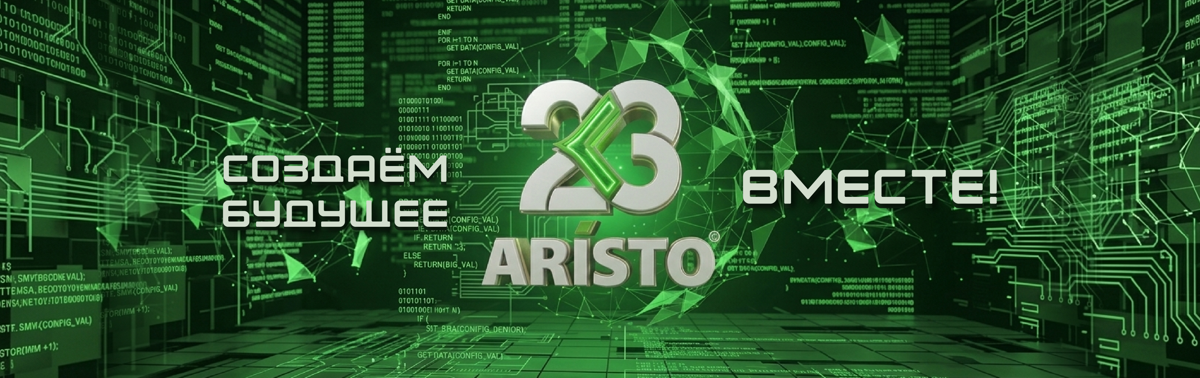 23 года ARISTO